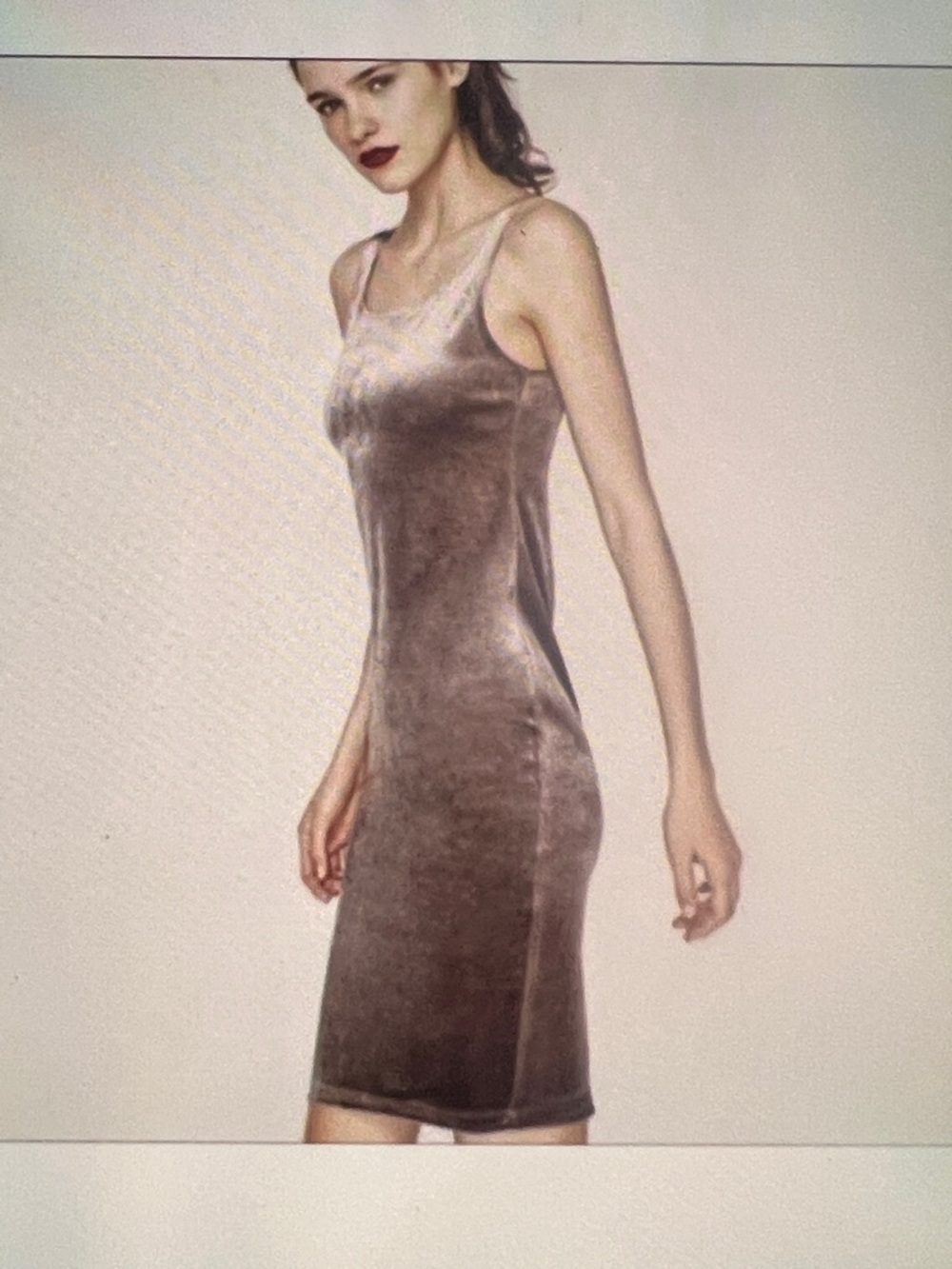 Zara Velvet Slip dress
